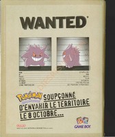 Pokemon Rouge Bleu